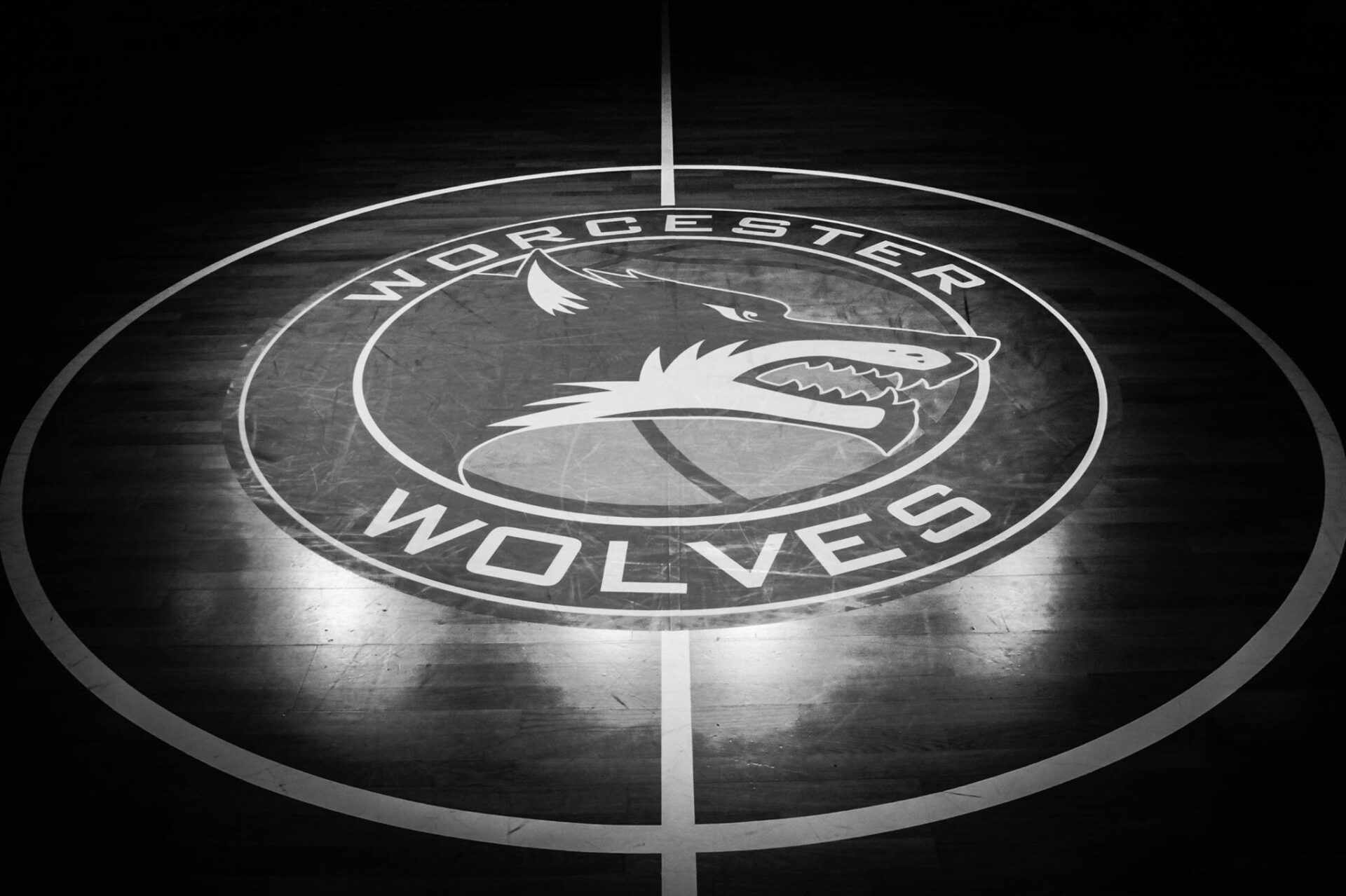 worcester wolves